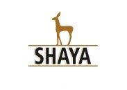 Shaya