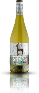 Wit &bull; Shaya Verdejo