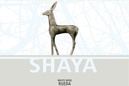 Wit &bull; Shaya Verdejo