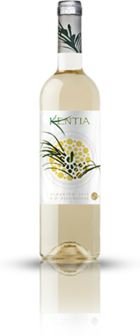 Kentia