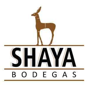 Shaya