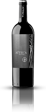 Atteca Garnache