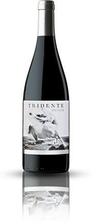 Tridente Mencia