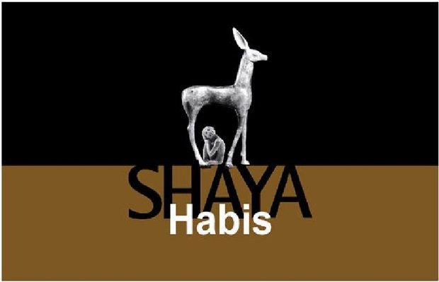 Shaya Habis
